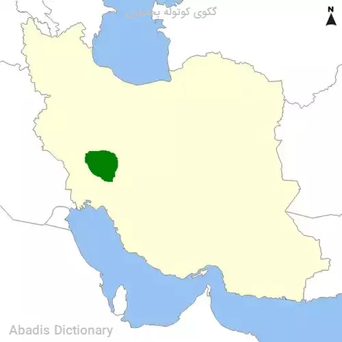 گکوی کوتوله بختیاری